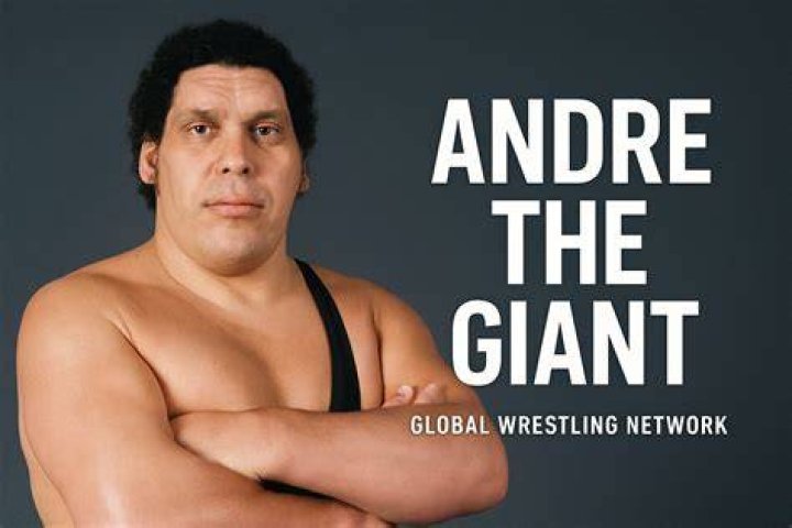 Andre The Giant