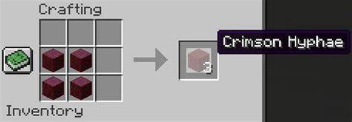 Crimson Hyphae Block in Minecraft