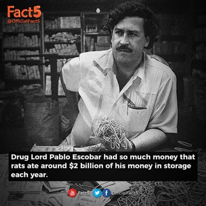 How Much Did Pablo Escobar Make In A Week?