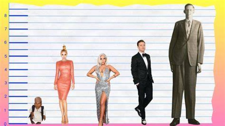 How Tall Is Gwen Stefani? Height Comparison! YouTube
